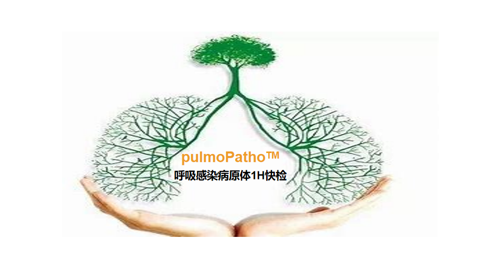 pulmoPatho，呼吸感染病原谱