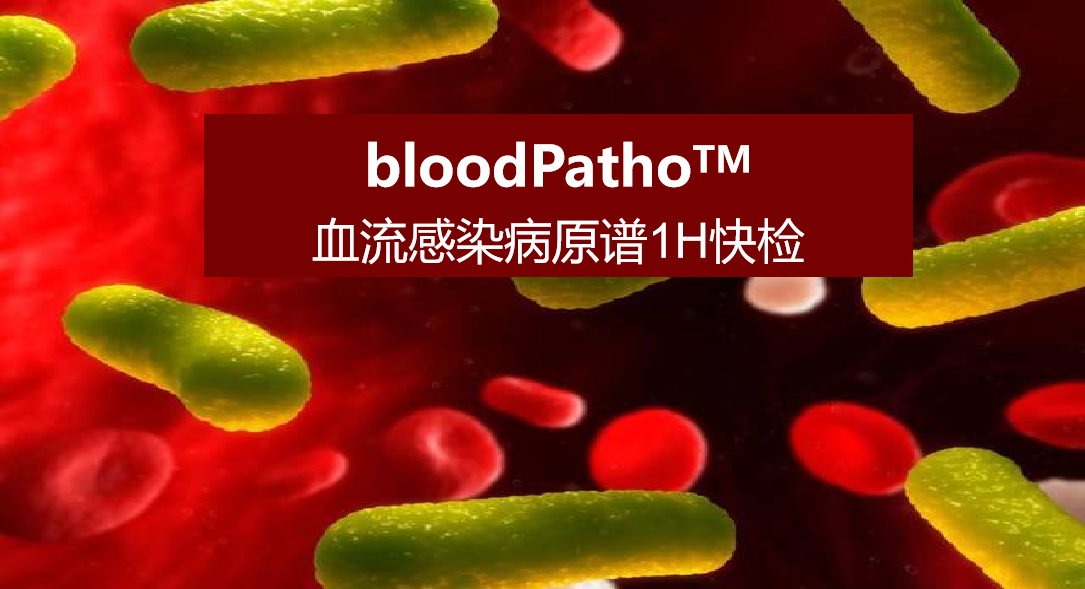 bloodPatho，血流感染病原谱