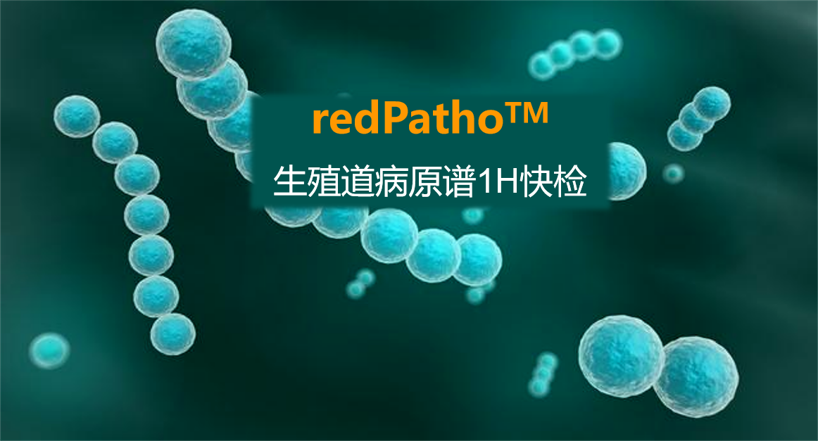 redPatho，生殖道感染病原谱