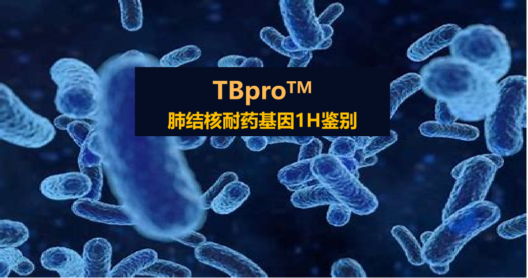 TBpro，结核菌耐药谱