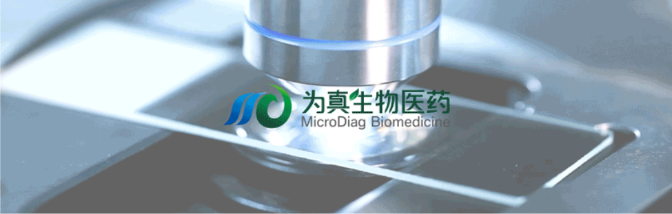 王莹院长领衔，王弢博士技术负责的研发项目获浙江省2024年度“尖兵”“领雁”研发攻关计划项目立项